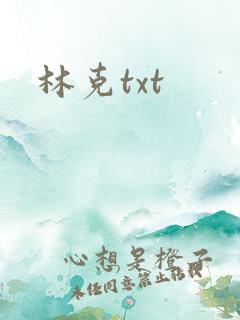 林克txt