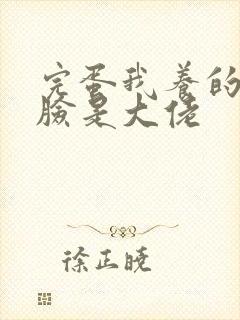 完蛋我养的小白脸是大佬