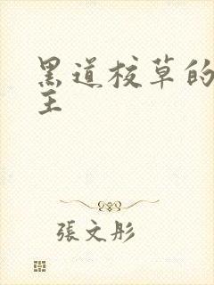 黑道校草的冷公主