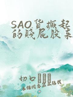 SAO货撅起你的贱屁股来