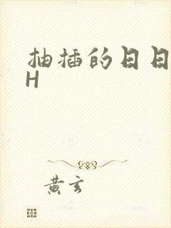 抽插的日日液液H