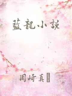 蓝龙小说