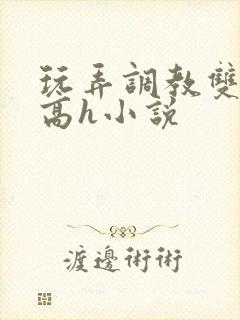 玩弄调教双胞胎高h小说