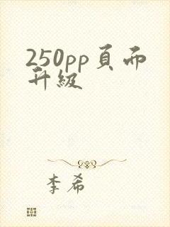 250pp页面升级