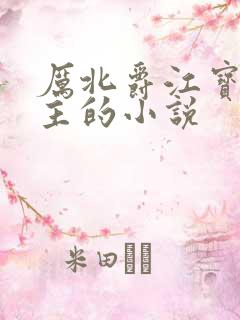 厉北爵江宝宝男主的小说