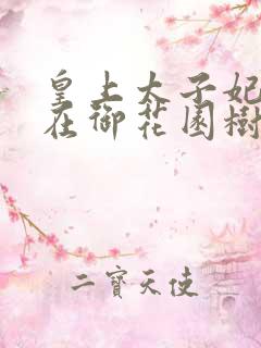 皇上太子妃沈音在御花园树上