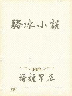 骆冰小说