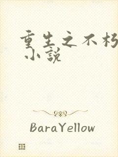 重生之不朽传奇 小说