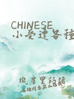 CHINESE小受遭各种打桩