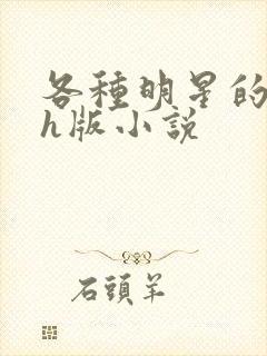 各种明星的综艺h版小说