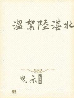 温絮陆湛北