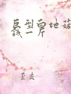 巨型白地菇多少钱一斤