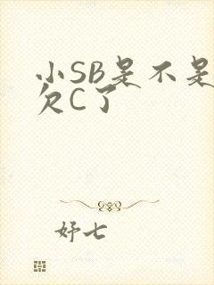 小SB是不是又欠C了
