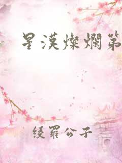 星汉灿烂第二部