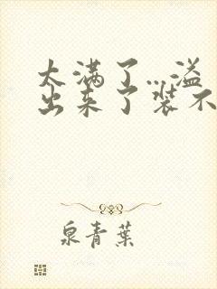 太满了...溢出来了装不下了