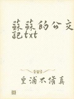 苏苏的公交车日记txt