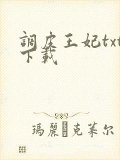 调皮王妃txt下载