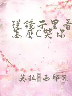 从镜子里看我是怎么C哭你