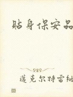 贴身保安品书网