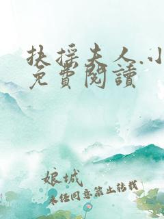 扶摇夫人.小说免费阅读