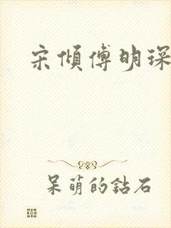 宋倾傅明琛小说