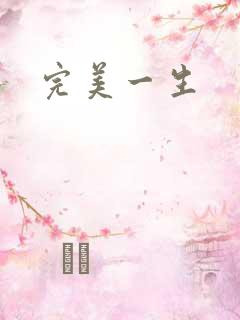 完美一生