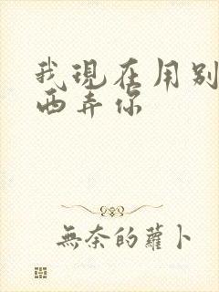 我现在用别的东西弄你