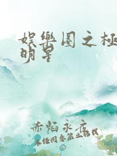 娱乐圈之极品大明星