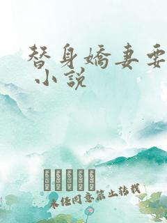 替身娇妻要离婚 小说