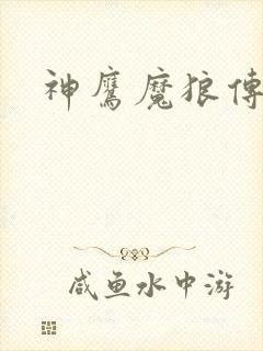 神鹰魔狼传