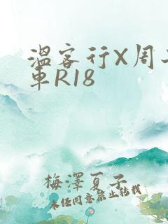 温客行X周子舒车R18