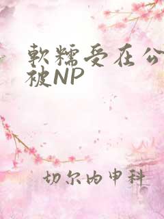 软糯受在公交车被NP