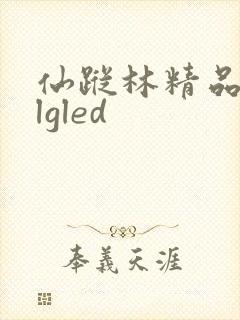 仙踪林精品zzlgled