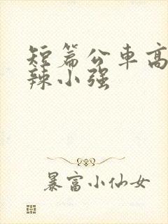 短篇公车高h肉辣小强