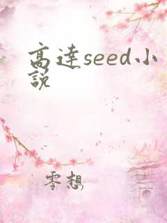 高达seed小说