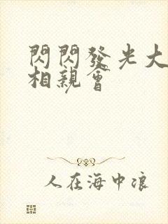 闪闪发光大团圆相亲会