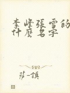 李峰张雪的书叫什么名字