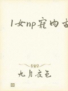 1女np宠肉古