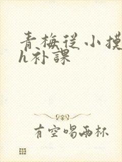 青梅从小摸到大h补课