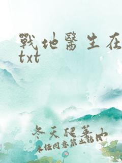 战地医生在都市txt