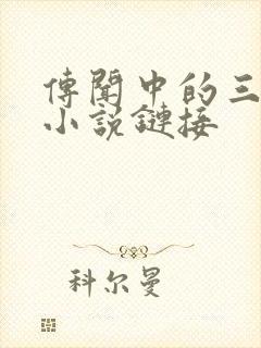 传闻中的三公主小说链接