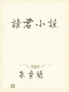 请君小说