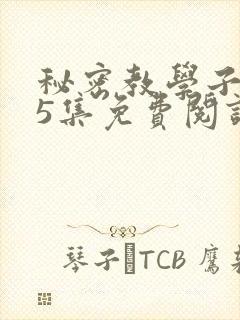 秘密教学子豪65集免费阅读