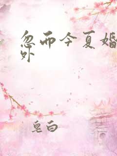 忽而今夏婚后番外