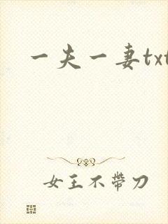 一夫一妻txt