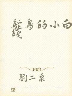 鸵鸟的小白脸路线