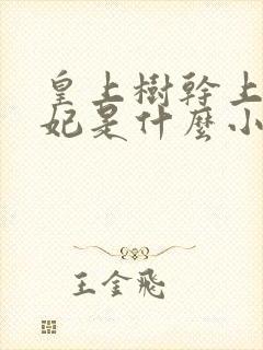 皇上树干上太子妃是什么小说