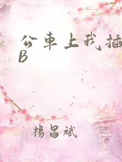 公车上我插上骚B