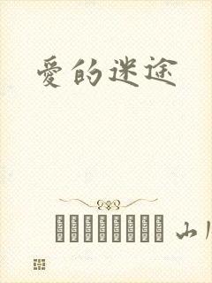 爱的迷途