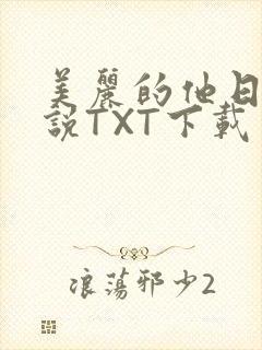 美丽的他日剧小说TXT下载
